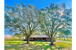 301 WELLS AVENUE, AVON PARK, FL 33825 - MLS#MFRB4902130