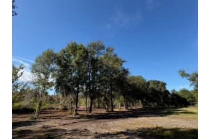 HAMMOCK LOOP, POLK CITY, FL 33868 - MLS#MFRB4902134