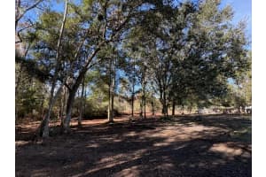 HAMMOCK LOOP, POLK CITY, FL 33868 - MLS#MFRB4902134