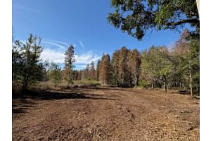 HAMMOCK LOOP, POLK CITY, FL 33868 - MLS#MFRB4902134