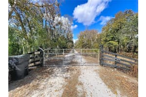 15210 ROUGH DIAMOND RANCH ROAD, LITHIA, FL 33547 - MLS#MFRB4902190