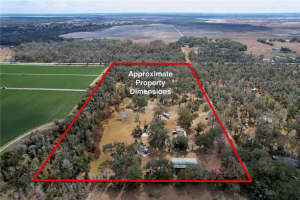 15210 ROUGH DIAMOND RANCH ROAD, LITHIA, FL 33547 - MLS#MFRB4902190