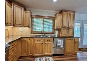 233 GREENSVIEW DRIVE, AVON PARK, FL 33825 - MLS#MFRB4902200