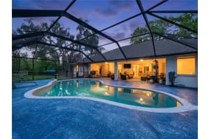 8402 SOUTHWOOD PINES STREET, LITHIA, FL 33547 - MLS#MFRB4902229