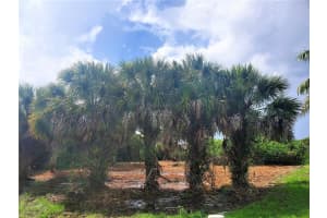 18037 OHARA DR, PORT CHARLOTTE, FL 33948 - MLS#MFRC7445067