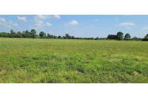 12098 & 12106 SALITPA CT, PLACIDA, FL 33946 - MLS#MFRC7448588