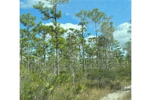 17480 BURNT STORE ROAD, PUNTA GORDA, FL 33955 - MLS#MFRC7468290