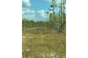 17480 BURNT STORE ROAD, PUNTA GORDA, FL 33955 - MLS#MFRC7468290