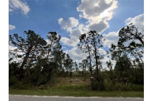 14371 CANNEL LANE, PORT CHARLOTTE, FL 33953 - MLS#MFRC7472474