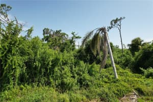 507 MERIDAN AVENUE, PORT CHARLOTTE, FL 33952 - MLS#MFRC7478312