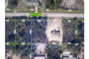439 DETROIT ROAD, LAKE PLACID, FL 33852 Sold 03/13/25