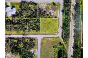 29246 RIATA STREET, PUNTA GORDA, FL 33982 Sold 03/07/25