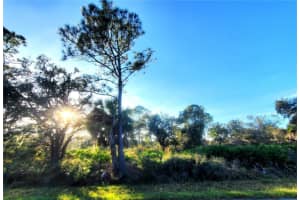 1520 Capel St & 1603 FRISCO TERRACE, PORT CHARLOTTE, FL 33953 - MLS#MFRC7485741