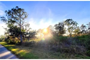 1520 Capel St & 1603 FRISCO TERRACE, PORT CHARLOTTE, FL 33953 - MLS#MFRC7485741