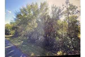 26191 DEER ROAD, PUNTA GORDA, FL 33955 Sold 10/16/25