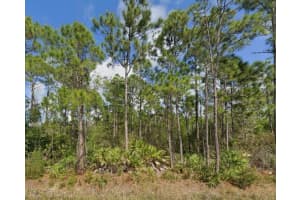 11490 3RD AVENUE, PUNTA GORDA, FL 33955 - MLS#MFRC7486119