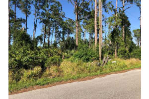 DANDURAND AVE, NORTH PORT, FL 34291 - MLS#MFRC7490561