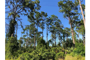 DANDURAND AVE, NORTH PORT, FL 34291 - MLS#MFRC7490561