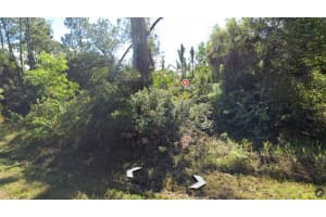 26255 DEER ROAD, PUNTA GORDA, FL 33955 Sold 03/17/25