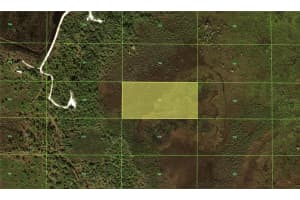 49667 BERMONT ROAD, PUNTA GORDA, FL 33982 - MLS#MFRC7491983