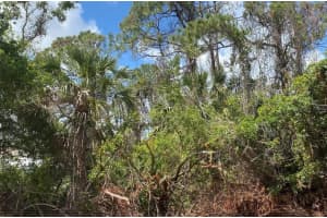 18290 EBLIS AVENUE, PORT CHARLOTTE, FL 33948 - MLS#MFRC7492140