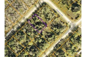 BIGNAY RD, NORTH PORT, FL 34288 - MLS#MFRC7492475