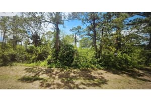 8010 ROLLING CIRCLE, LABELLE, FL 33935 Sold 05/16/25