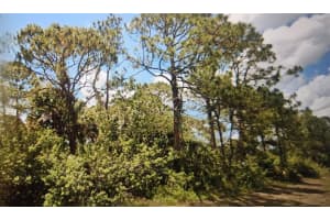 8008 ROLLING CIRCLE, LABELLE, FL 33935 Sold 05/16/25