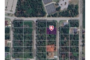 1165 BLALOCK STREET, PUNTA GORDA, FL 33980 - MLS#MFRC7493590