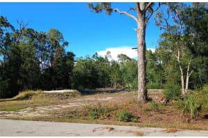 28196 TWIN LAKES DRIVE, PUNTA GORDA, FL 33955 Sold 07/12/24