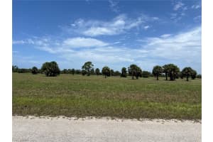 11 LOON LANE, PLACIDA, FL 33946 - MLS#MFRC7493972