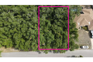 HOLSTER AVE, NORTH PORT, FL 34287 - MLS#MFRC7494044