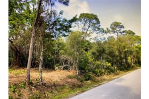 11233 PINETRAIL ROAD, PUNTA GORDA, FL 33955 - MLS#MFRC7494288