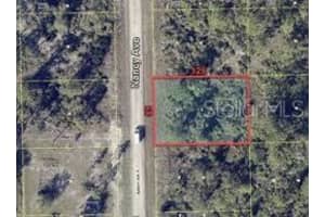 241 NANCY AVENUE, LEHIGH ACRES, FL 33974 - MLS#MFRC7494356