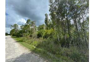 29460 CLARA DRIVE, PUNTA GORDA, FL 33982 - MLS#MFRC7494718