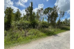 29460 CLARA DRIVE, PUNTA GORDA, FL 33982 - MLS#MFRC7494718