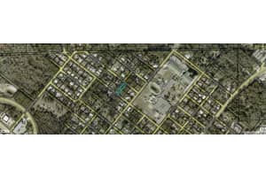 CHAPEL ST, BUNNELL, FL 32110 - MLS#MFRC7495018