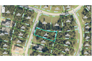 4461 MAJESTIC HILLS LOOP, BROOKSVILLE, FL 34601 Sold 12/02/24