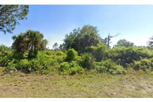 12189 GRACE AVENUE, PORT CHARLOTTE, FL 33981 - MLS#MFRC7495214