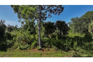 12189 GRACE AVENUE, PORT CHARLOTTE, FL 33981 - MLS#MFRC7495214