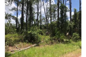 APRICOLA RD, NORTH PORT, FL 34286 - MLS#MFRC7495352