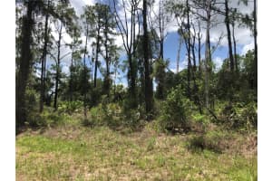 APRICOLA RD, NORTH PORT, FL 34286 - MLS#MFRC7495352