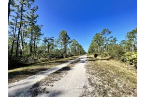 28060 ARGYLE DRIVE, PUNTA GORDA, FL 33955 - MLS#MFRC7496909