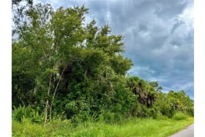 26373 & 26377 DEER ROAD, PUNTA GORDA, FL 33955 - MLS#MFRC7497190