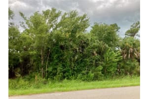 26373 & 26377 DEER ROAD, PUNTA GORDA, FL 33955 - MLS#MFRC7497190