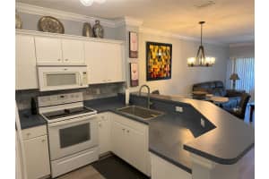 1316 WEEPING WILLOW COURT, CAPE CORAL, FL 33909 Sold 04/17/25