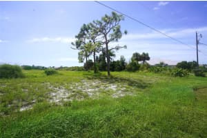 163 MEDALIST ROAD, ROTONDA WEST, FL 33947 Sold 12/23/24