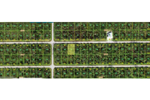 14161 LUXO AVENUE, PORT CHARLOTTE, FL 33953 Sold 04/07/25