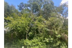 194 VENANGO STREET, PORT CHARLOTTE, FL 33954 - MLS#MFRC7498264