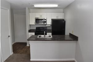 11901 4TH STREET, SAINT PETERSBURG, FL 33716 Sold 03/03/25